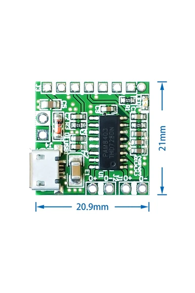 PAM8403 Modul Micro Usb Soketli - Resim 3