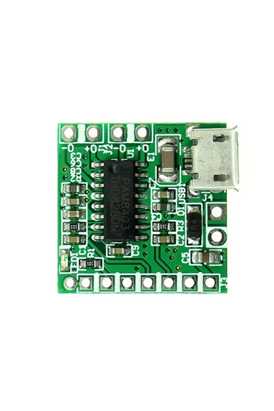 PAM8403 Modul Micro Usb Soketli - Resim 7