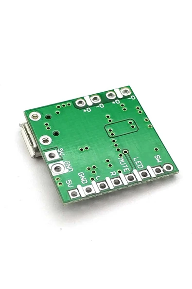 PAM8403 Modul Micro Usb Soketli - Resim 8