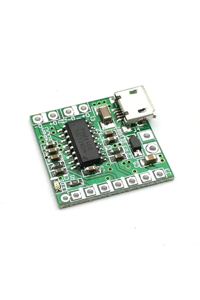 PAM8403 Modul Micro Usb Soketli - Resim 5