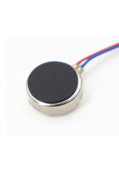 Titreşim Motoru 8mm 0834 - Resim 4