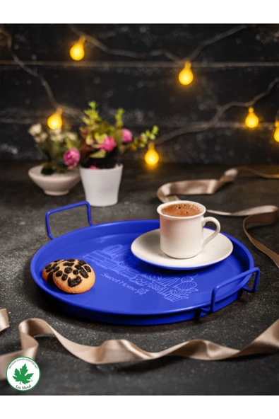 24cm Metal Kulplu Tepsi (Kaktüs Baskılı) ürün görseli 1