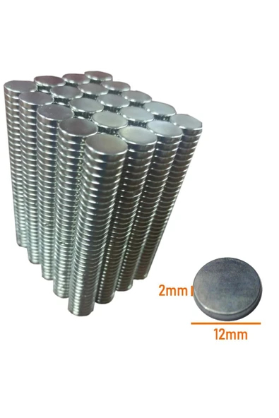 Neodyum Mıknatıs 12x2 mm Nikel 100 Adedin Fiyatıdır ürün görseli 1