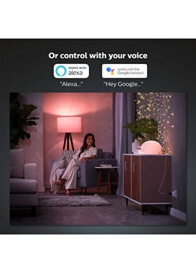 Philips Hue 1x Smart Plug Akıllı Priz - Resim 2