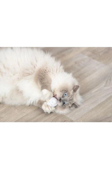 Trixie Kedi Oyuncağı, Dondurma ve Kek Şeklinde, Peluş, Kediotlu 7cm ürün görseli 1