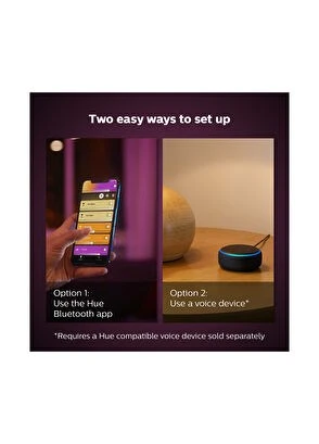 Philips Hue Iris Gümüş Akıllı Masa Lambası - Resim 3