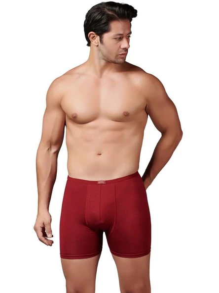 6 Adet Gümüş Erkek Bambu İnce Bel Elastan Boxer 8007 - Resim 3