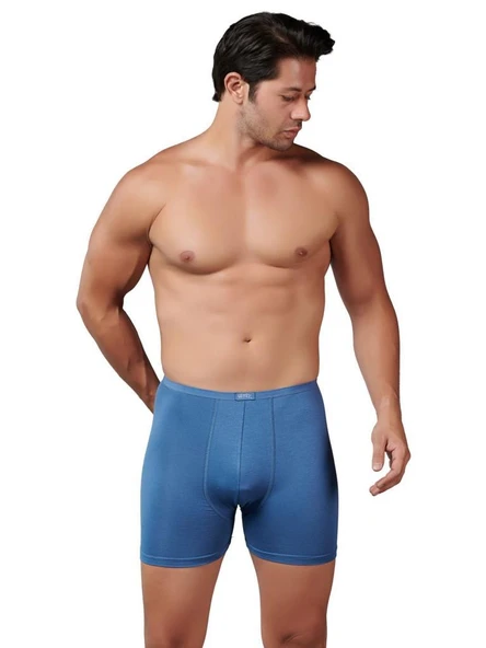 6 Adet Gümüş Erkek Bambu İnce Bel Elastan Boxer 8007 - Resim 2