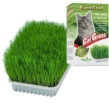 Eurogold Kedi Çimi ürün görseli 1