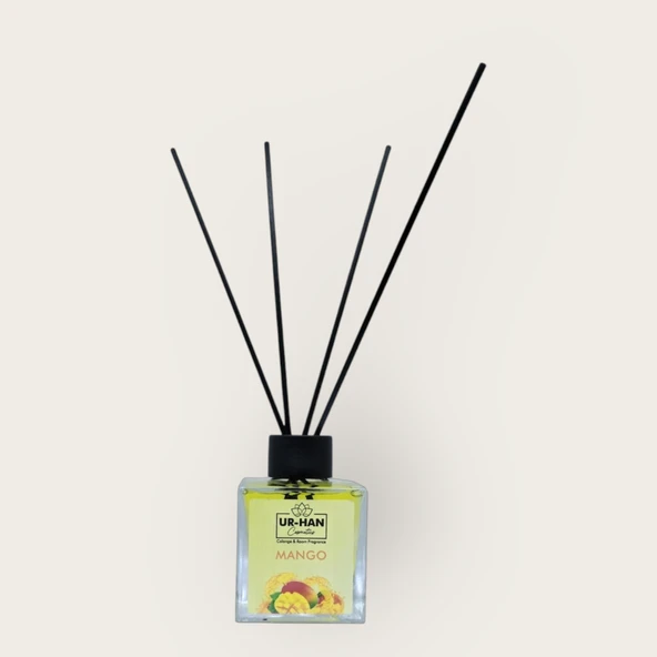 MANGO Bambu Çubuklu Oda Kokusu 100 ML Cam Şişe - Resim 4