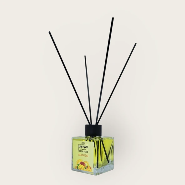 MANGO Bambu Çubuklu Oda Kokusu 100 ML Cam Şişe - Resim 3