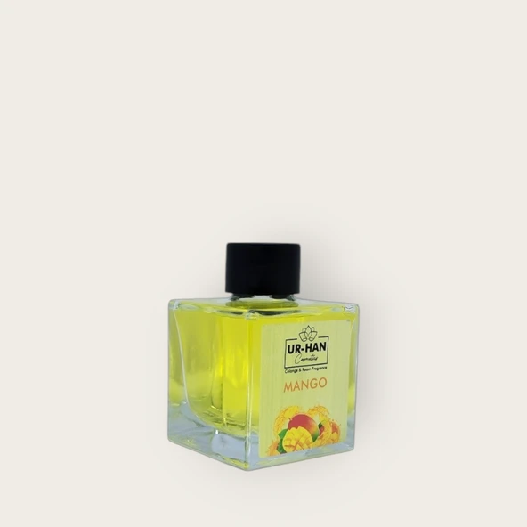 MANGO Bambu Çubuklu Oda Kokusu 100 ML Cam Şişe - Resim 5