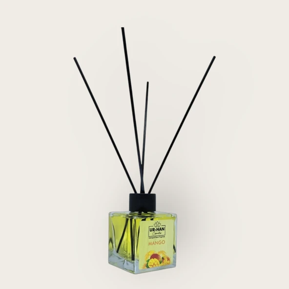 MANGO Bambu Çubuklu Oda Kokusu 100 ML Cam Şişe - Resim 2