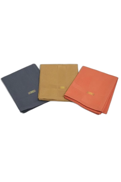 AutoFresh Mikrofiber Temizlik Cam Mutfak Bezi 3'lü Set Orjinal Sihirli Bez 40x60 Cm 3 Adet Bez ürün görseli 1
