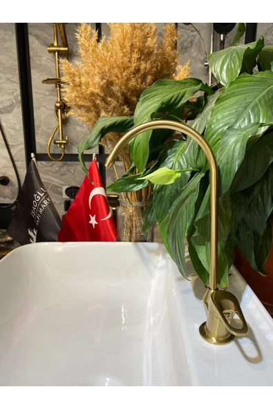 Mat Gold Arıtma Musluğu Mat Altın Arıtıcılı Batarya 5 Yıl Garantili ürün görseli 1