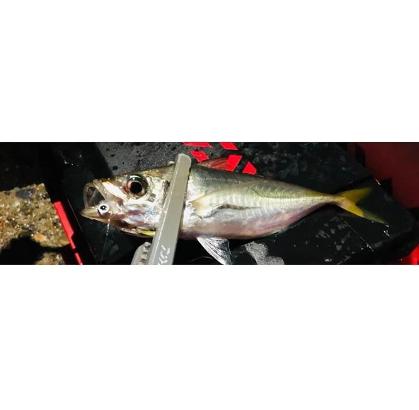 Daiwa Gekkabijin Ajing Jighead - Resim 3