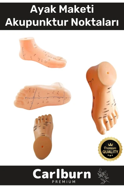 Özel Üretim Kaliteli İnsan Anatomisine Uyumlu Muayene Maket 20Cm Ayak Maketi Akupunktur Noktası ürün görseli 1