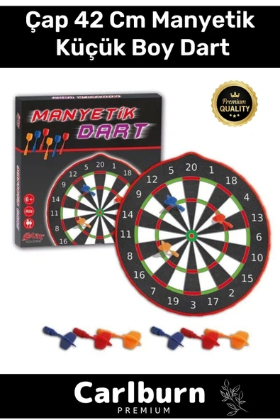 Premium Eğitici Zeka Geliştirici Öğretici Eğlence Aile Manyetik Dart Küçük Boy Çap 42 Cm ürün görseli 1
