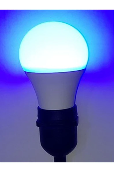 BLUE LİGHTİNG Gece Lambası & Normal Ampul Beyaz/mavi 2'si Bir Arada Hem Kolaylık Hem Tasarruf ürün görseli 1