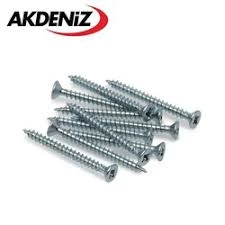 Akdeniz 4x25 Sunta Vidası (500 Adet) ürün görseli 1