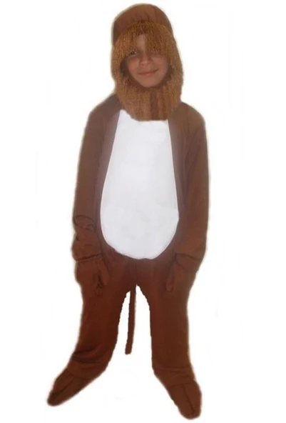Aslan Kostümü Model-2 ürün görseli 1