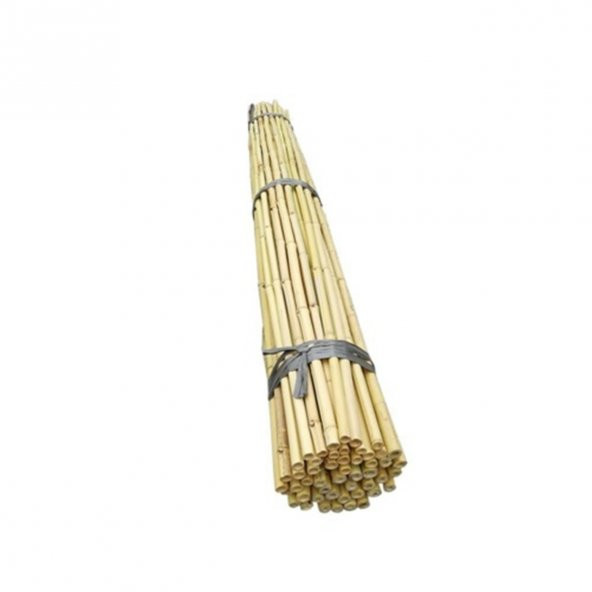 Fidan Destek Çubuğu Kamış(Ucu sivriltilmiş) 80-90cm BOY 100 ADET ürün görseli 1