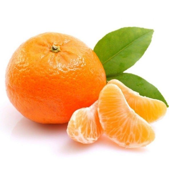 TÜPLÜ AŞILI SATSUMA MANDALİNA FİDANI YAŞ 1-2 BOY 90-110CM ürün görseli 1