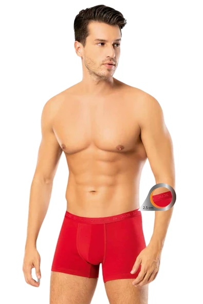 Looksense Erkek Dude İnce Bel Lastikli Likralı Boxer 1200 ürün görseli 1