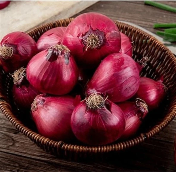 Ata Tohumları Geleneksel Yüksek Aromalı Ata 19 Kırmızı Çorum Tipi Soğan Tohumu(50 Tohum) ürün görseli 1