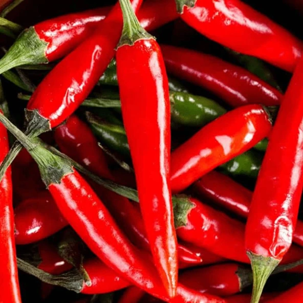 Ata Tohumları Geleneksel Malagueta Chili Acı Biber Tohumu (10 Tohum) ürün görseli 1