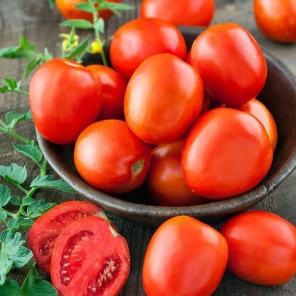 Ata Tohumları Geleneksel Roma Organic Domates Tohumu(20 adet) ürün görseli 1