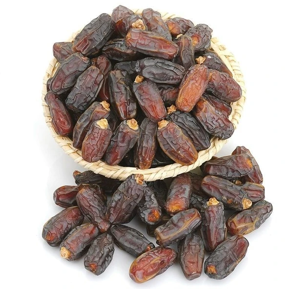 Arabistan Hurması Hurma Ağacı Tohumu (3 tohum) ürün görseli 1