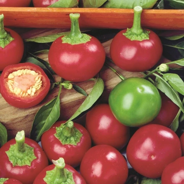 Geleneksel Red Cherry Tatlı Biber Tohumu 50 tohum) ürün görseli 1