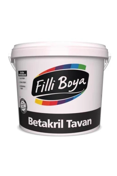 Küf-nem Önleyici Betakril Tavan Boyası 1 kg ürün görseli 1