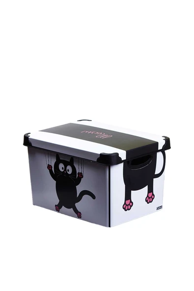 Style Box Meow Desenli 3 Parça Dekoratif Saklama Kutusu Seti ürün görseli 1