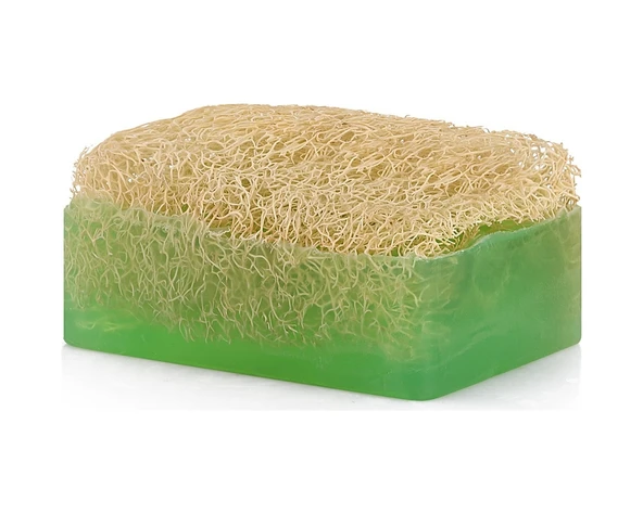 Saria Aloe Vera Lifli Sabun ürün görseli 1
