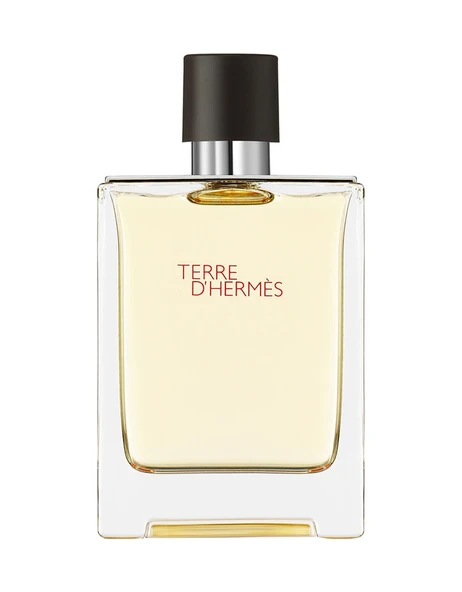 Hermes Terre D'Hermes Erkek Parfüm EDT 100 ML - Resim 2
