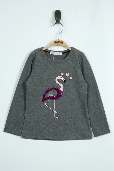 Toontoy Kız Çocuk T-Shirt Flamingo Nakış ürün görseli 1