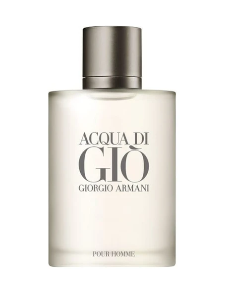 Giorgio Armani Acqua Di Gio Homme Erkek Parfüm EDT 100 ML ürün görseli 1