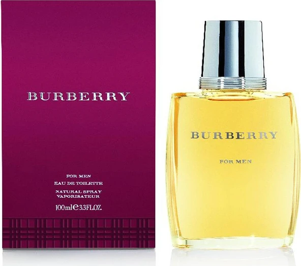 Burberry For Men Erkek Parfüm EDT 100 ML ürün görseli 1