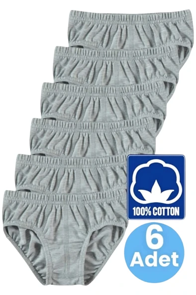 Erkek Çocuk % 100 Pamuklu 6'lı Gri Slip Külot ürün görseli 1