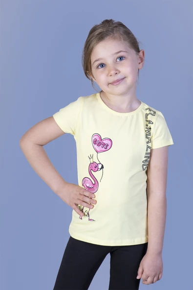 Toontoy Kız Çocuk Flamingo Desenli Taş İşlemeli Baskılı Tişört ürün görseli 1
