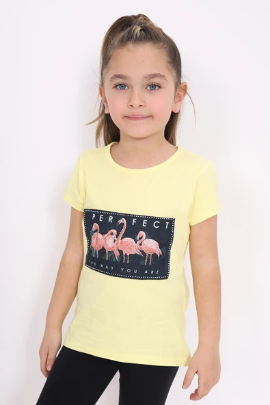 Toontoy Kız Çocuk Flamingo Baskılı Tişört ürün görseli 1