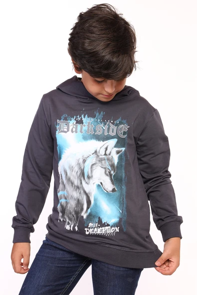 Toontoy Erkek Çocuk Baskılı Sweatshirt - Resim 3