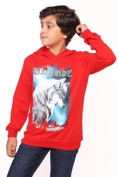 Toontoy Erkek Çocuk Baskılı Sweatshirt - Resim 5