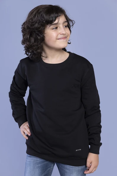 Toontoy Erkek Çocuk Arma Detaylı Sweatshirt ürün görseli 1