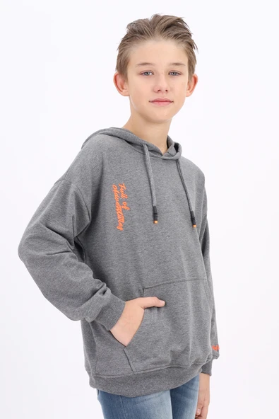 Toontoy Erkek Çocuk Nakışlı Sweatshirt ürün görseli 1