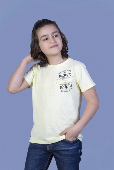 Toontoy Erkek Çocuk Çizgili Cepli Tişört ürün görseli 1