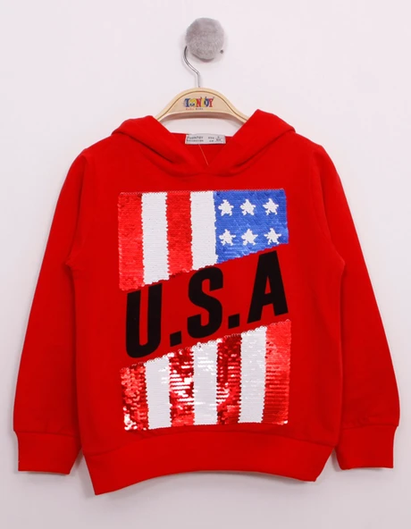 Toontoy Erkek Çocuk Pullu U.S.A Bayraklı Nakışlı Sweatshirt ürün görseli 1