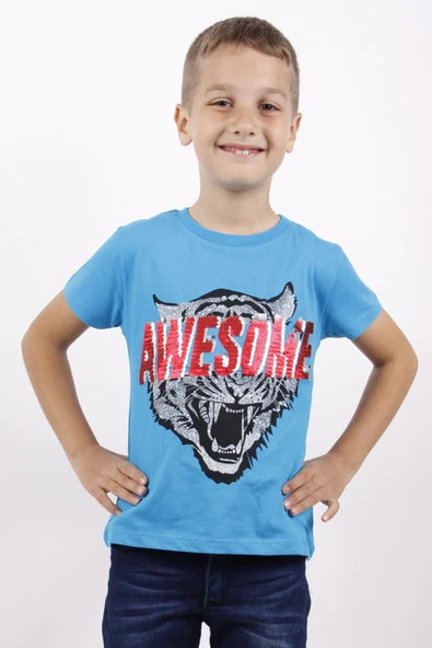 Toontoy Erkek Çocuk Awesome Pul Nakışlı T-Shirt ürün görseli 1
